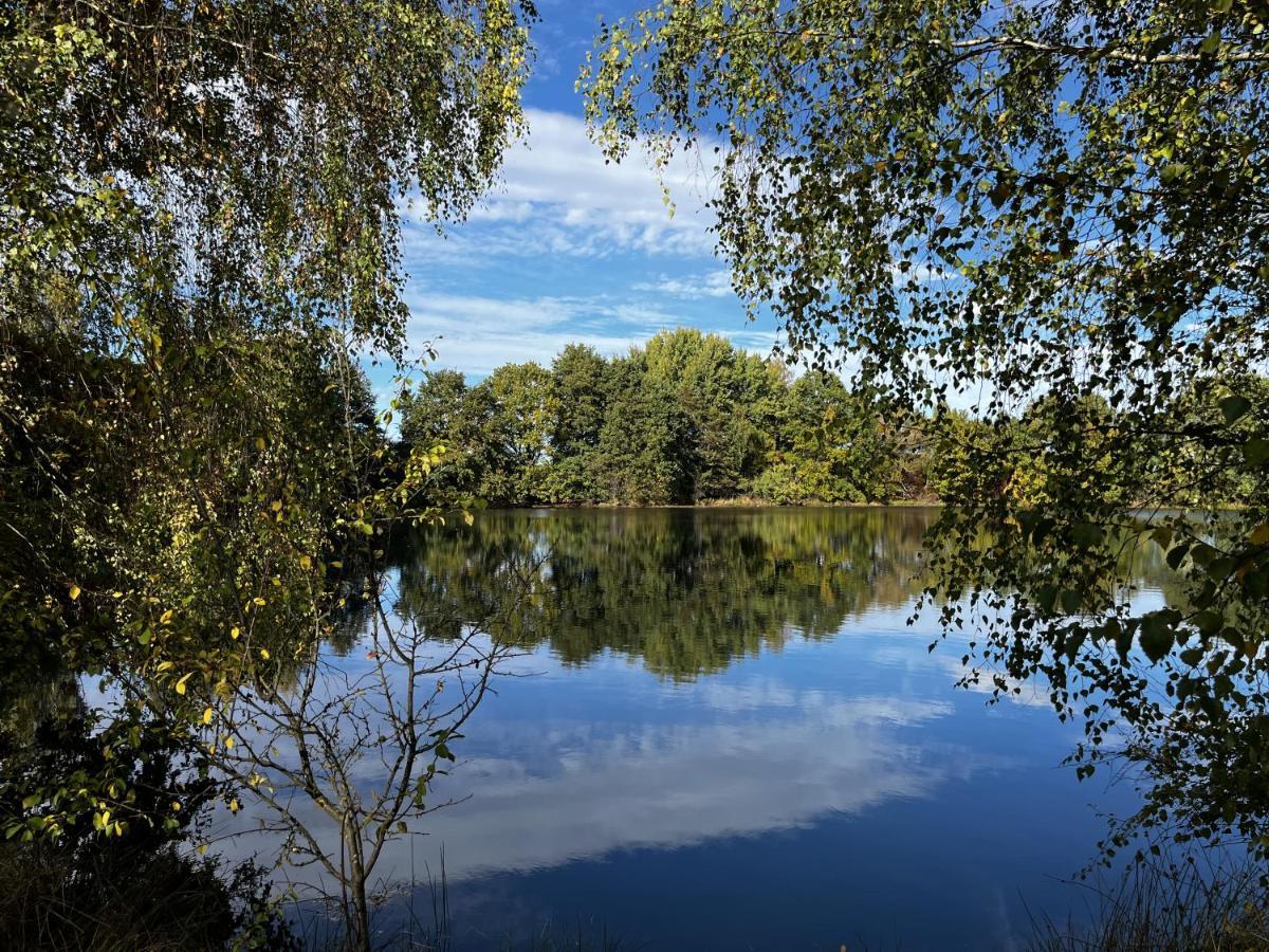 Ferienwohnung Am See Dillich - Ruhige Lage - Eigener Garten - Direkt Neben Einem Natursee Borken  エクステリア 写真