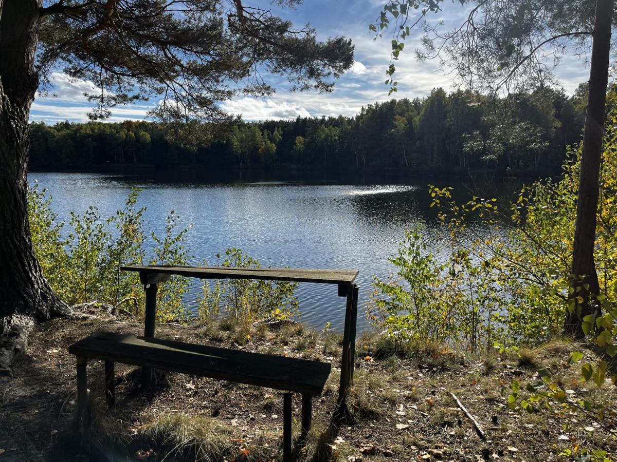 Ferienwohnung Am See Dillich - Ruhige Lage - Eigener Garten - Direkt Neben Einem Natursee Borken  エクステリア 写真