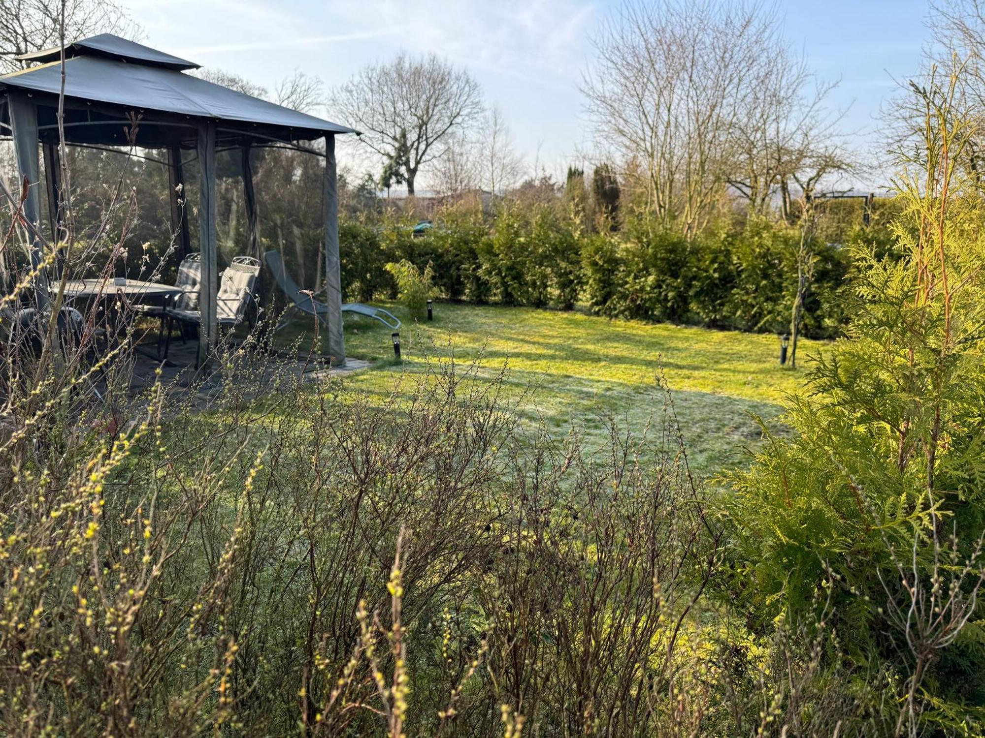 Ferienwohnung Am See Dillich - Ruhige Lage - Eigener Garten - Direkt Neben Einem Natursee Borken  エクステリア 写真