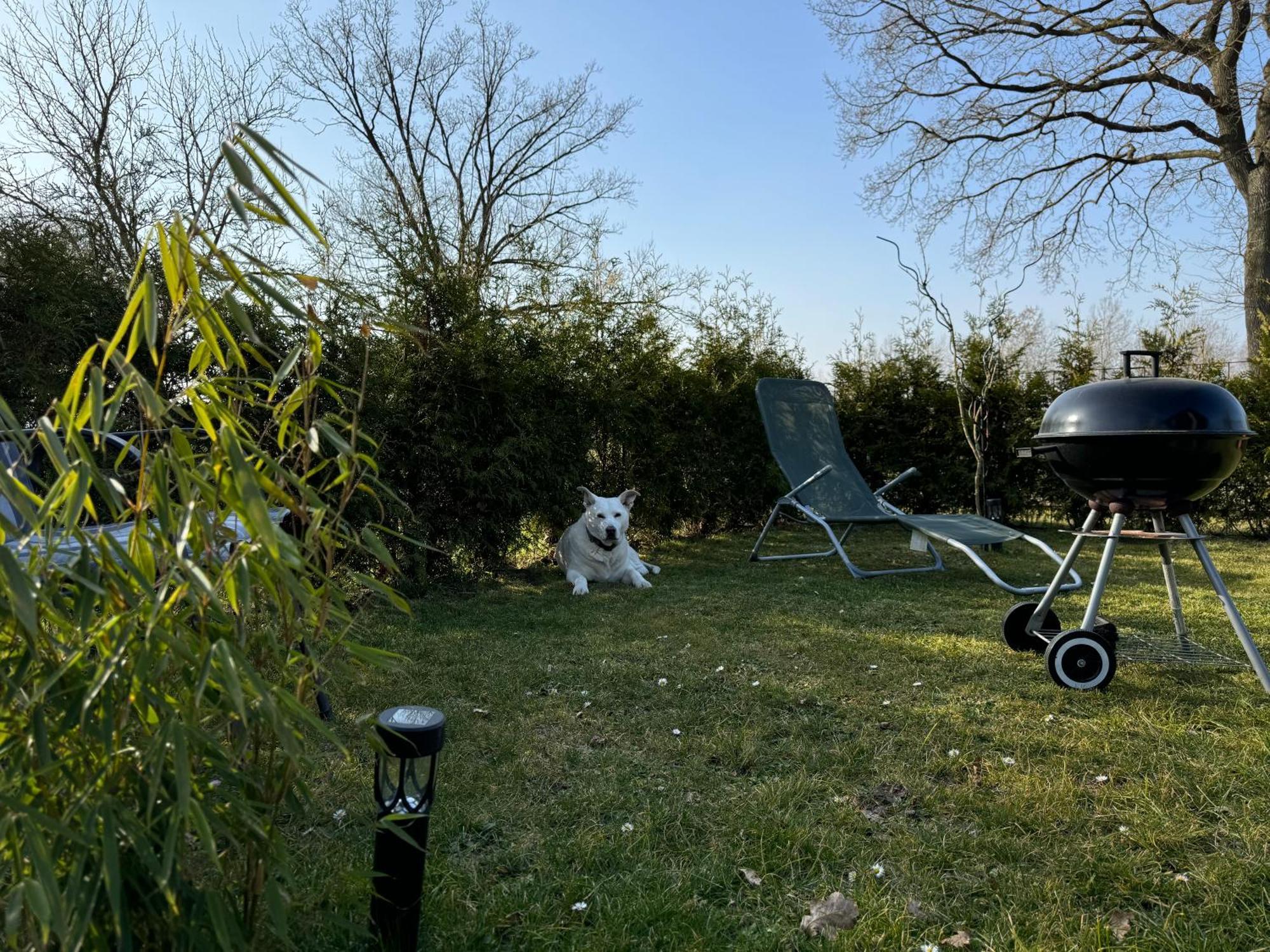 Ferienwohnung Am See Dillich - Ruhige Lage - Eigener Garten - Direkt Neben Einem Natursee Borken  エクステリア 写真