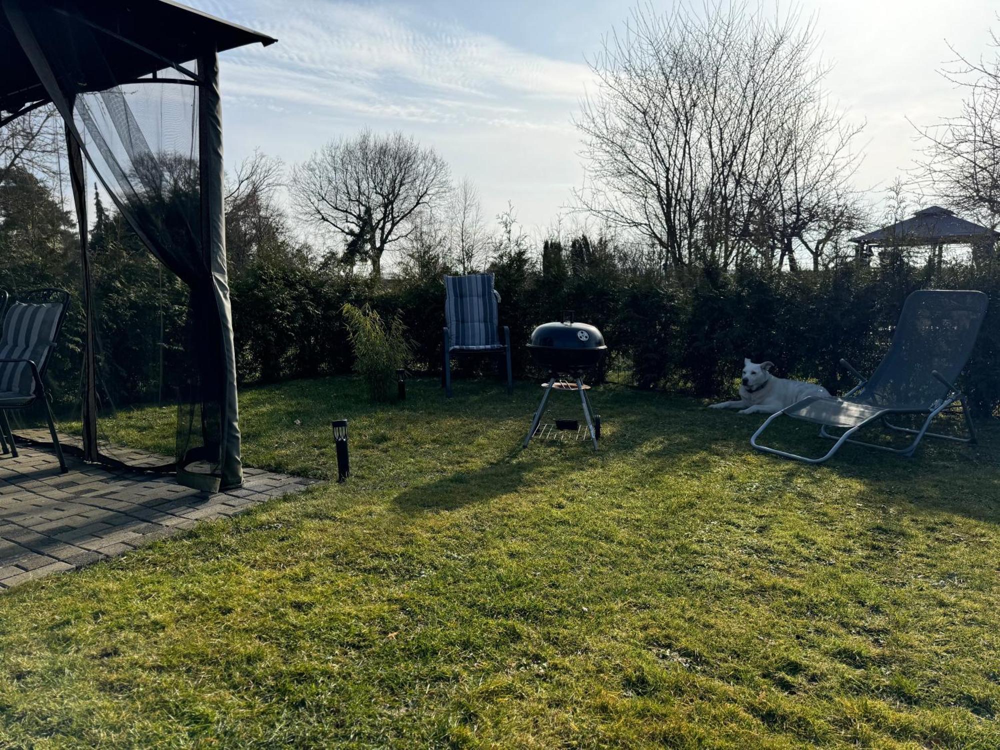 Ferienwohnung Am See Dillich - Ruhige Lage - Eigener Garten - Direkt Neben Einem Natursee Borken  エクステリア 写真