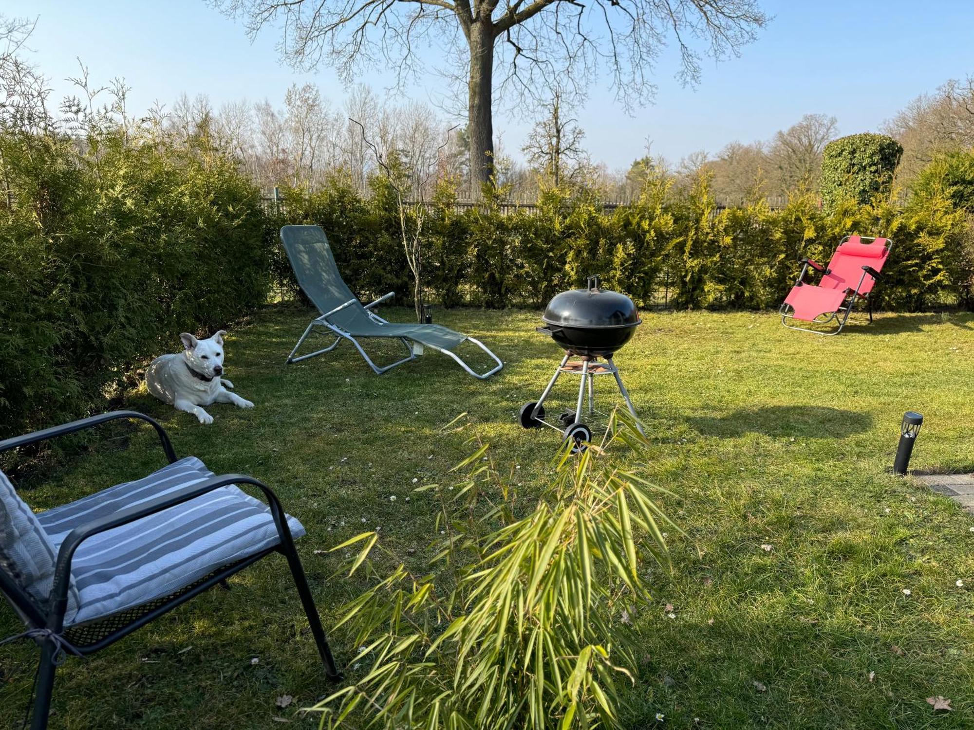 Ferienwohnung Am See Dillich - Ruhige Lage - Eigener Garten - Direkt Neben Einem Natursee Borken  エクステリア 写真