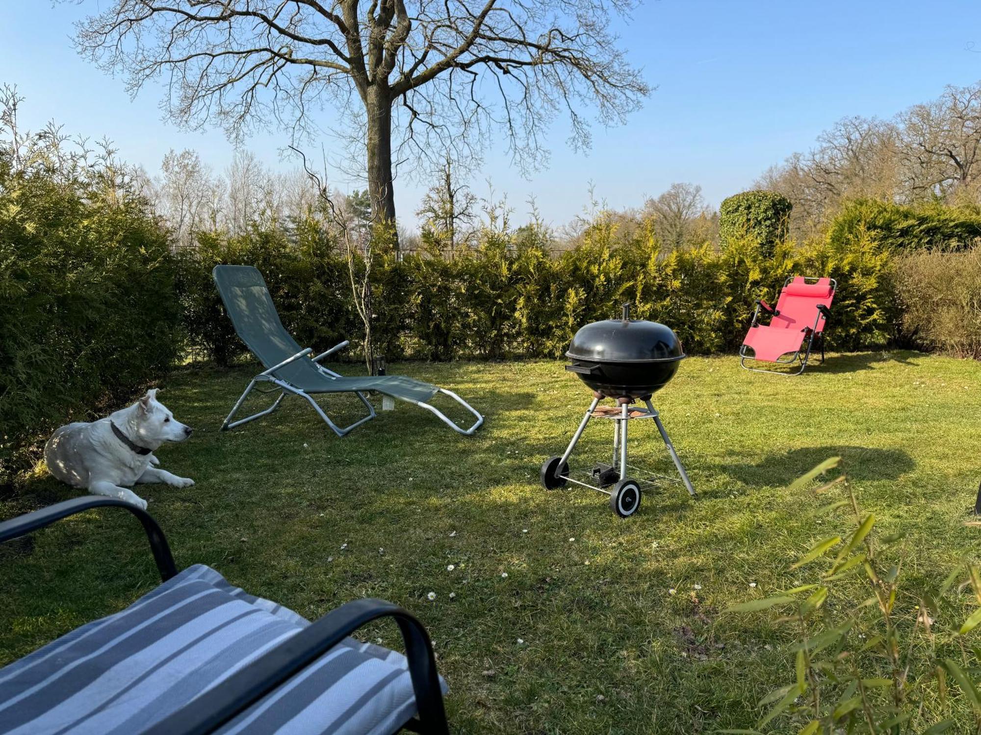 Ferienwohnung Am See Dillich - Ruhige Lage - Eigener Garten - Direkt Neben Einem Natursee Borken  エクステリア 写真
