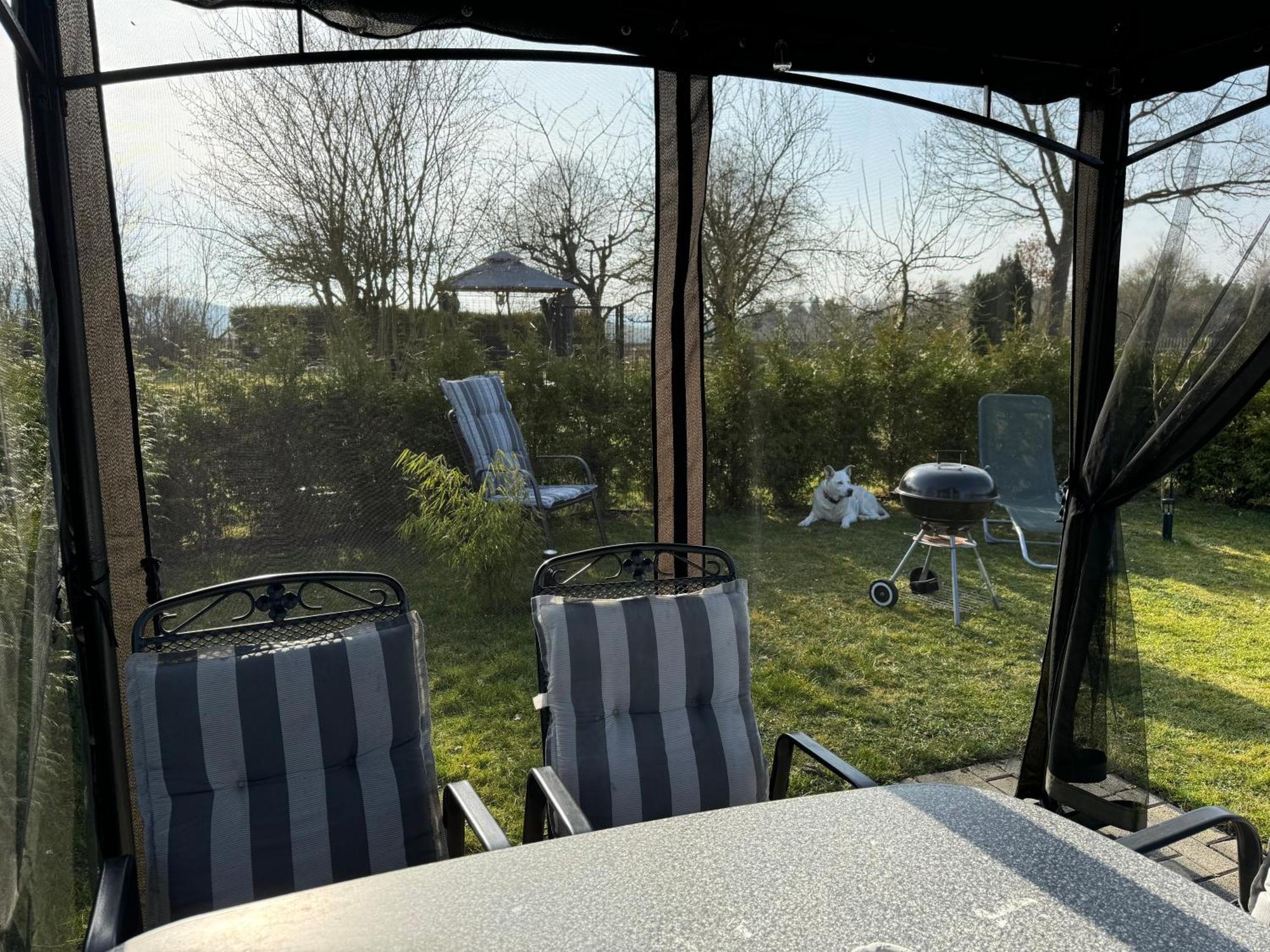 Ferienwohnung Am See Dillich - Ruhige Lage - Eigener Garten - Direkt Neben Einem Natursee Borken  エクステリア 写真